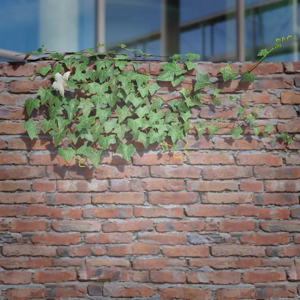 Ivy Creeper Ledge 1m 02 02