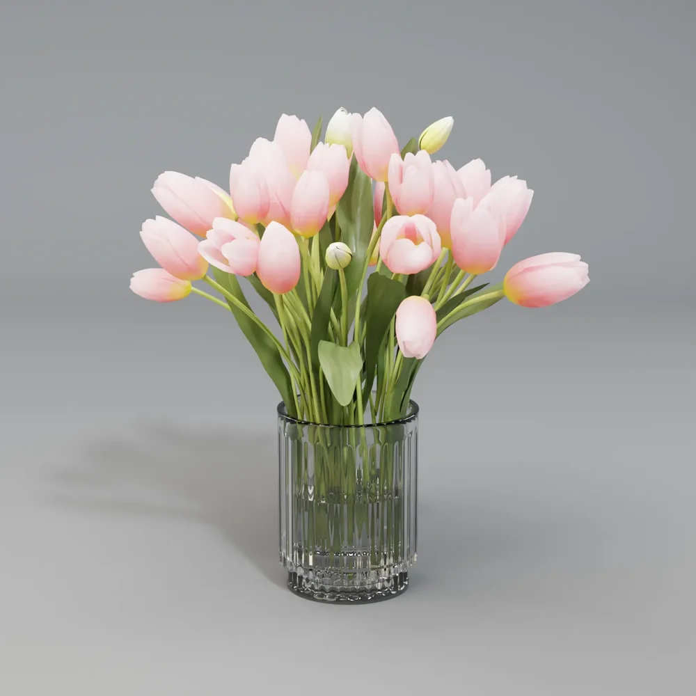 Tulips Flower