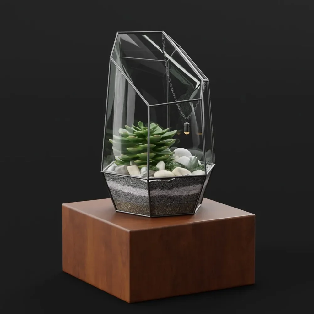 Geometric Glass Terrarium With Succulent
