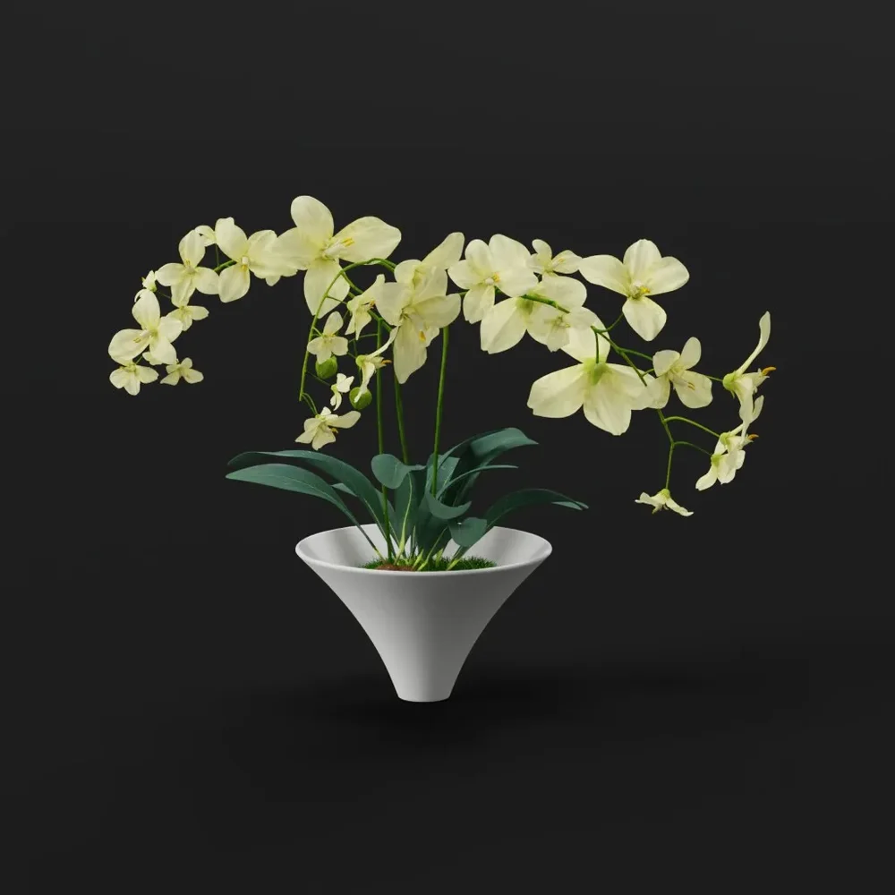 Orchid Plant In Decorative Pot