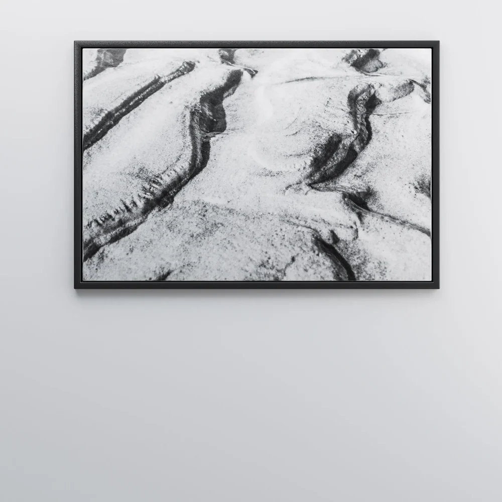 Canvas Black And White Art (1x1.5 M)