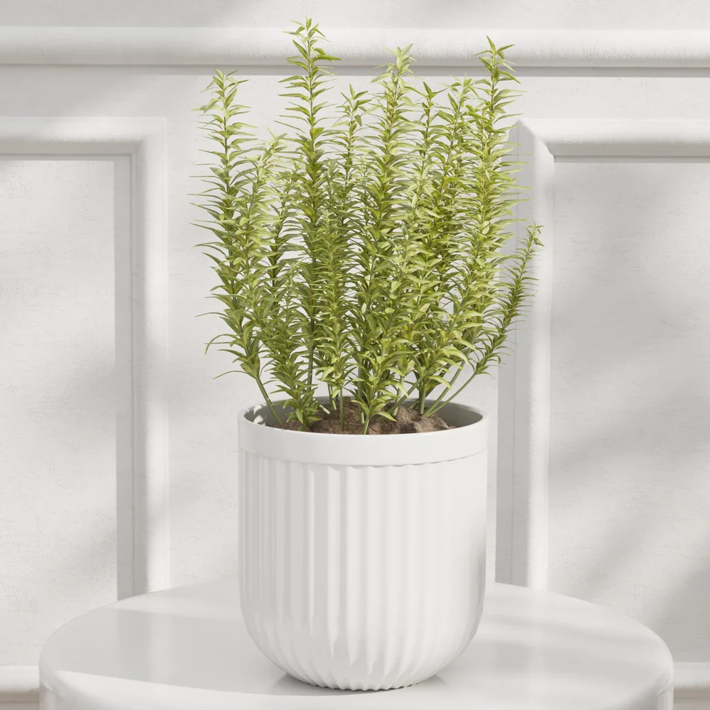 Vertical Herb Plant Pot