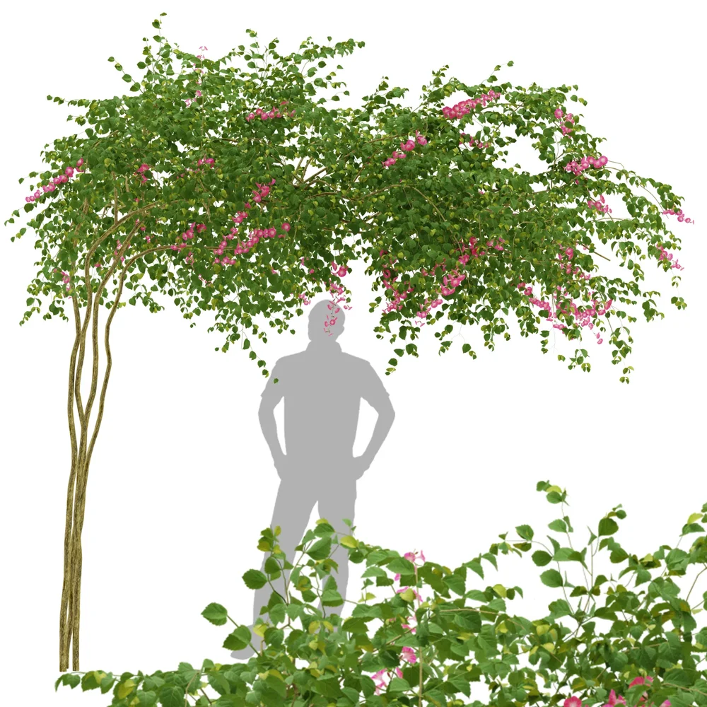 Flower Plant Trellis