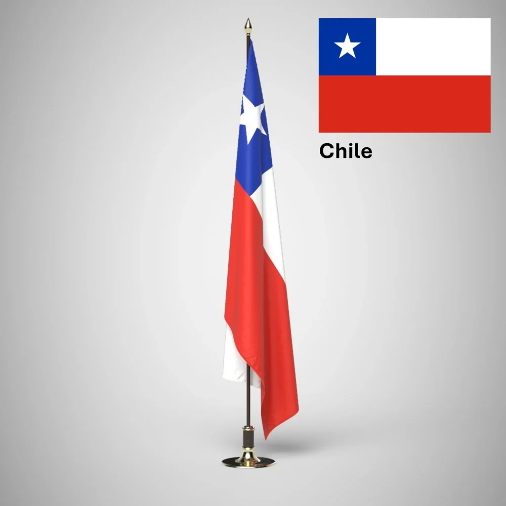 Chile Ceremonial Flag On Stand