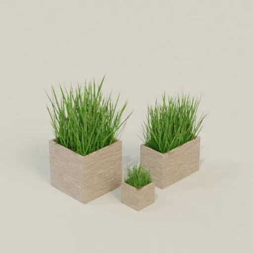Decoration Grass