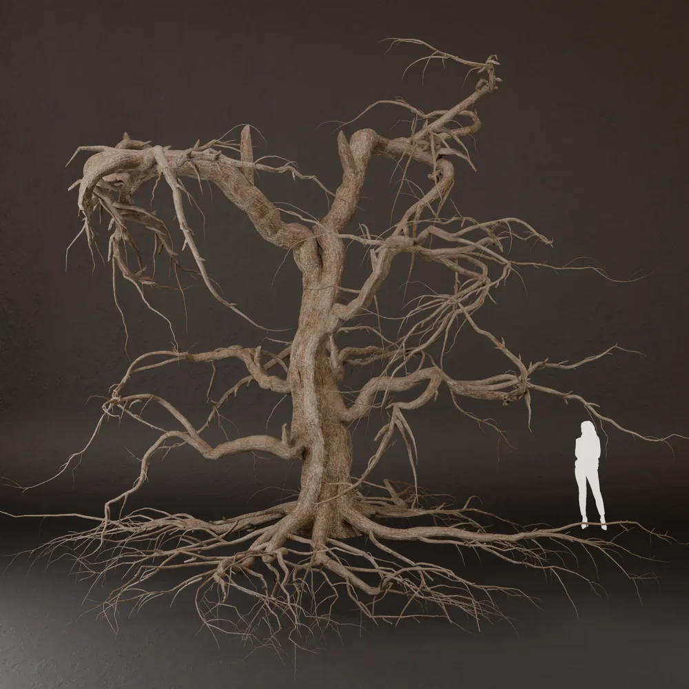 Sj-Broken Tree Without Leaves