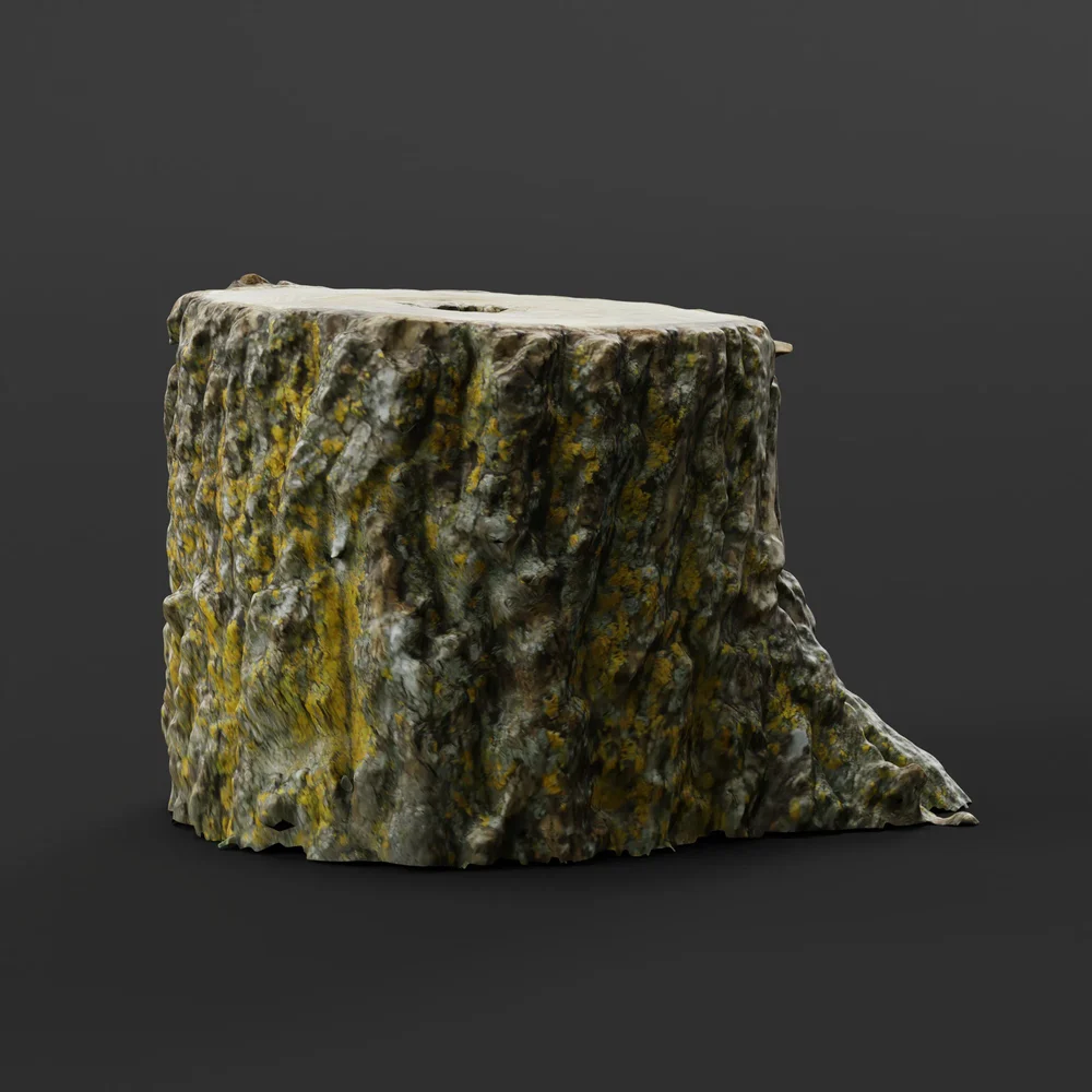Cut Log 03 - Remeshed Photoscan