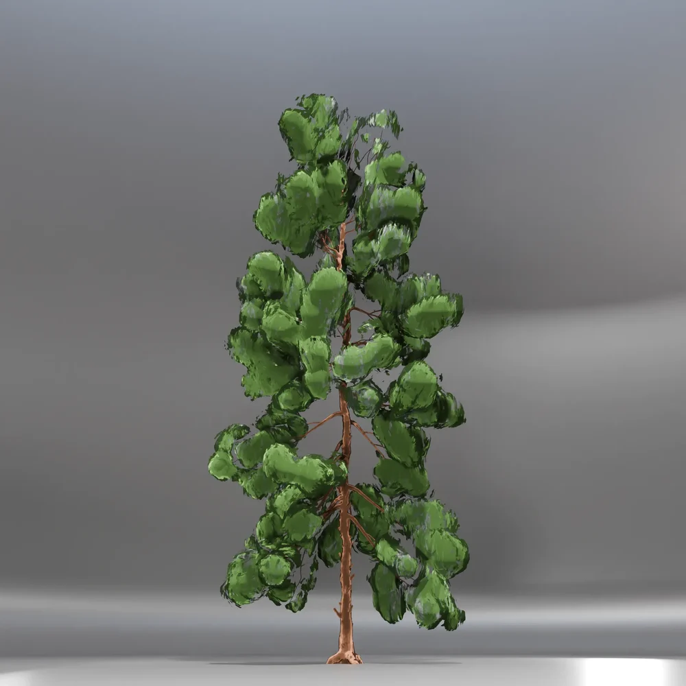 Pine Toon Tree