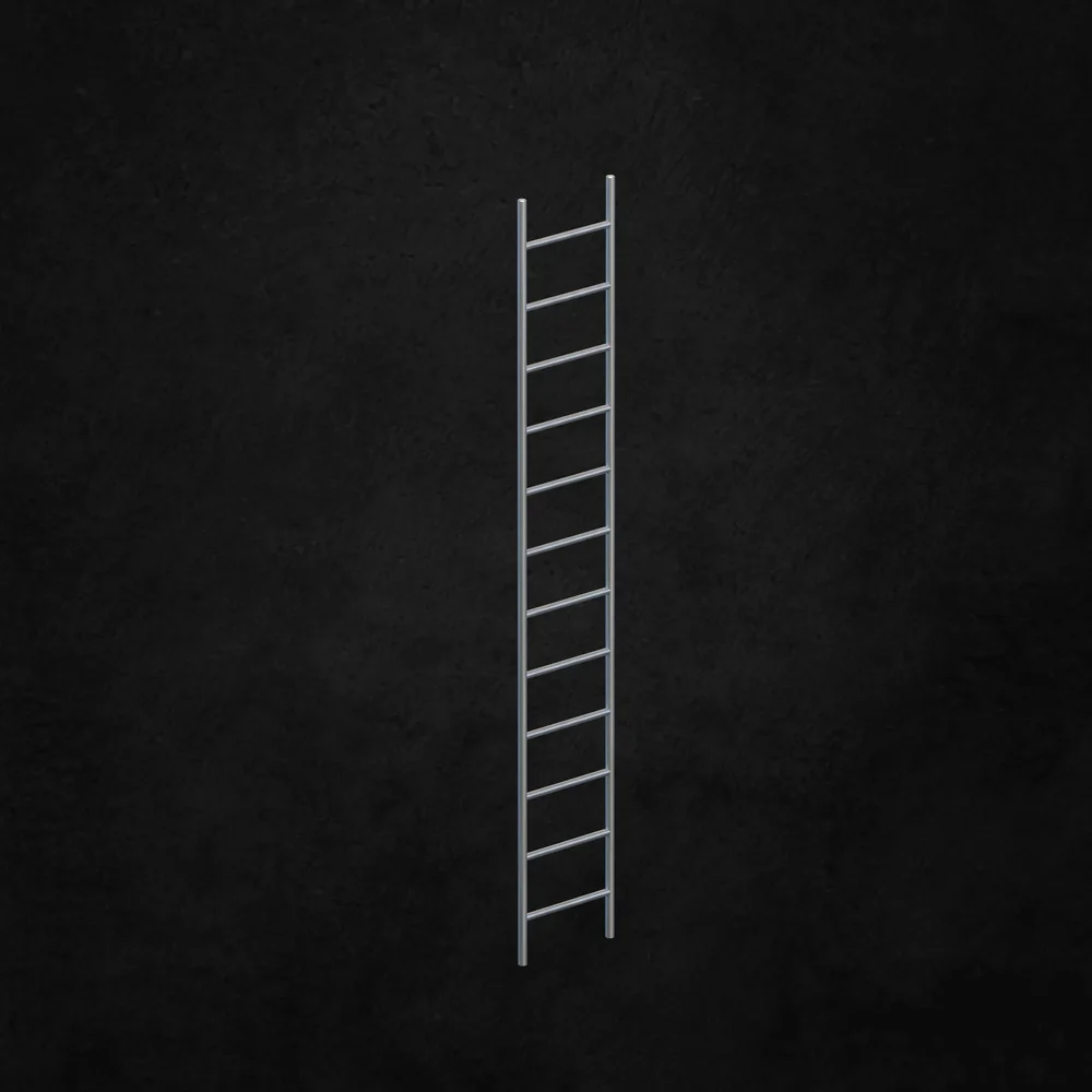 Exterior Ladder