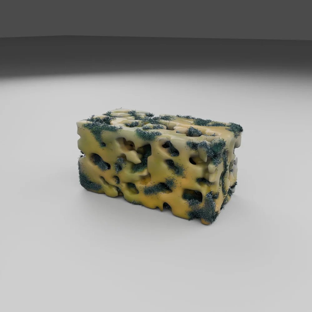 Block Of Hairy Moldy Cheese