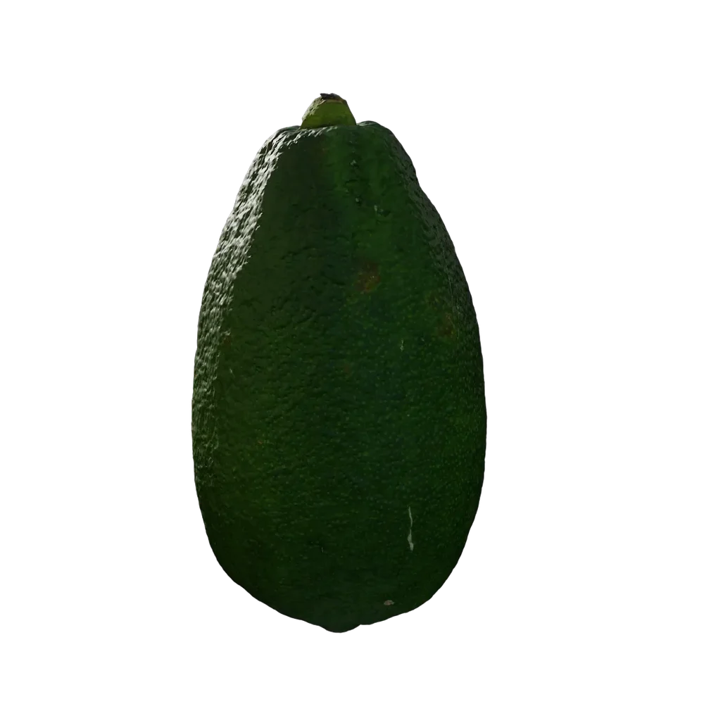 Citrus X Limon