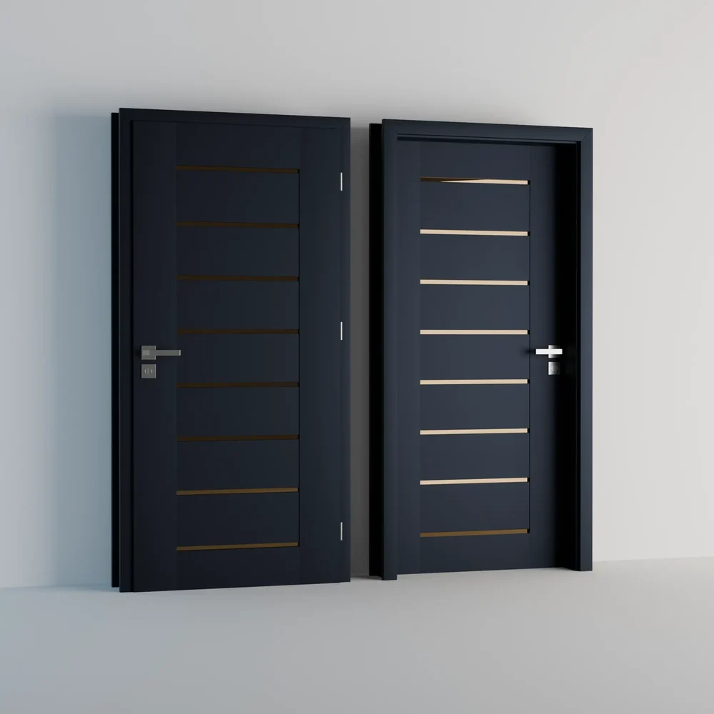 Modern Door