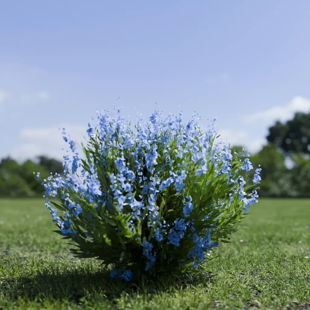 Shurb - Caryopteris Bluebeard Animated