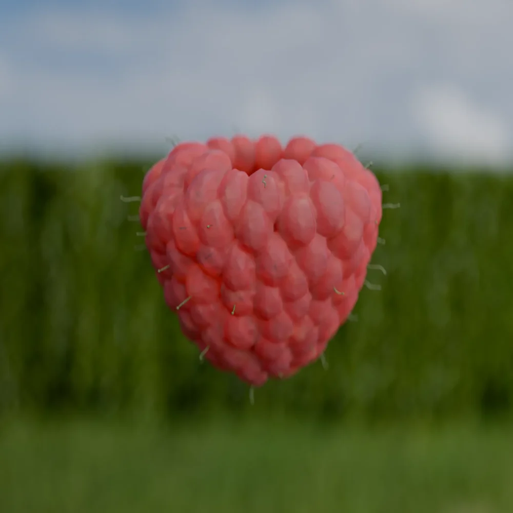 Rasberry Generator
