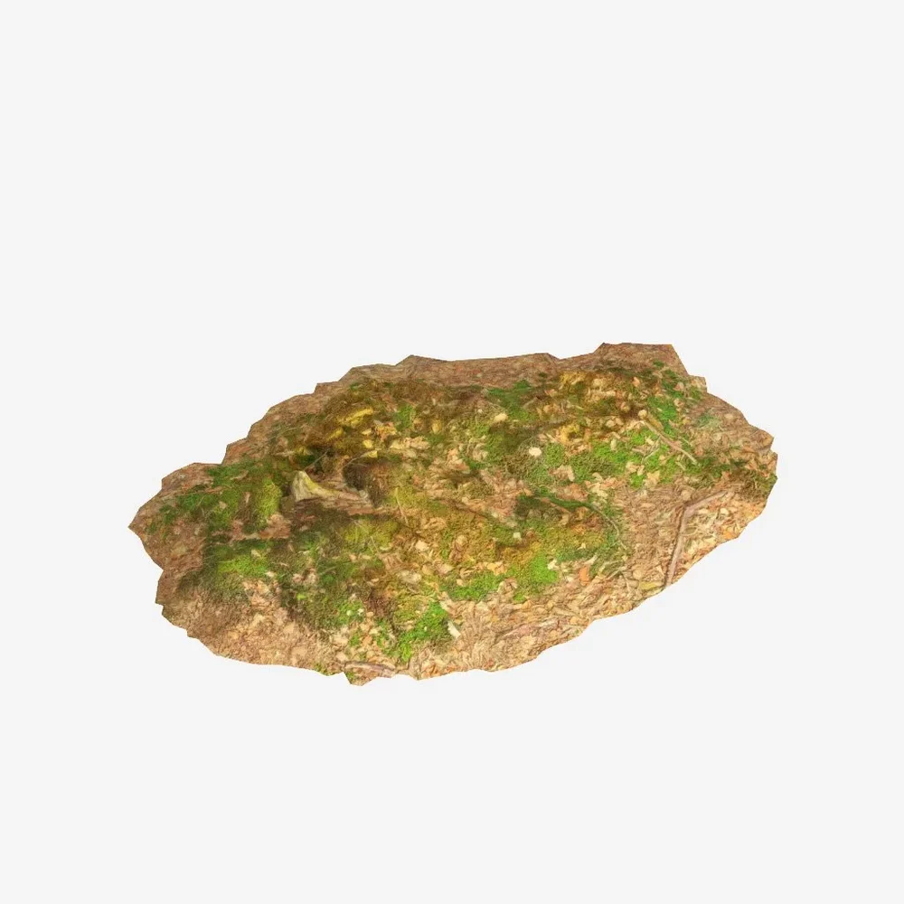Forest Moss Patch Pbr Scan