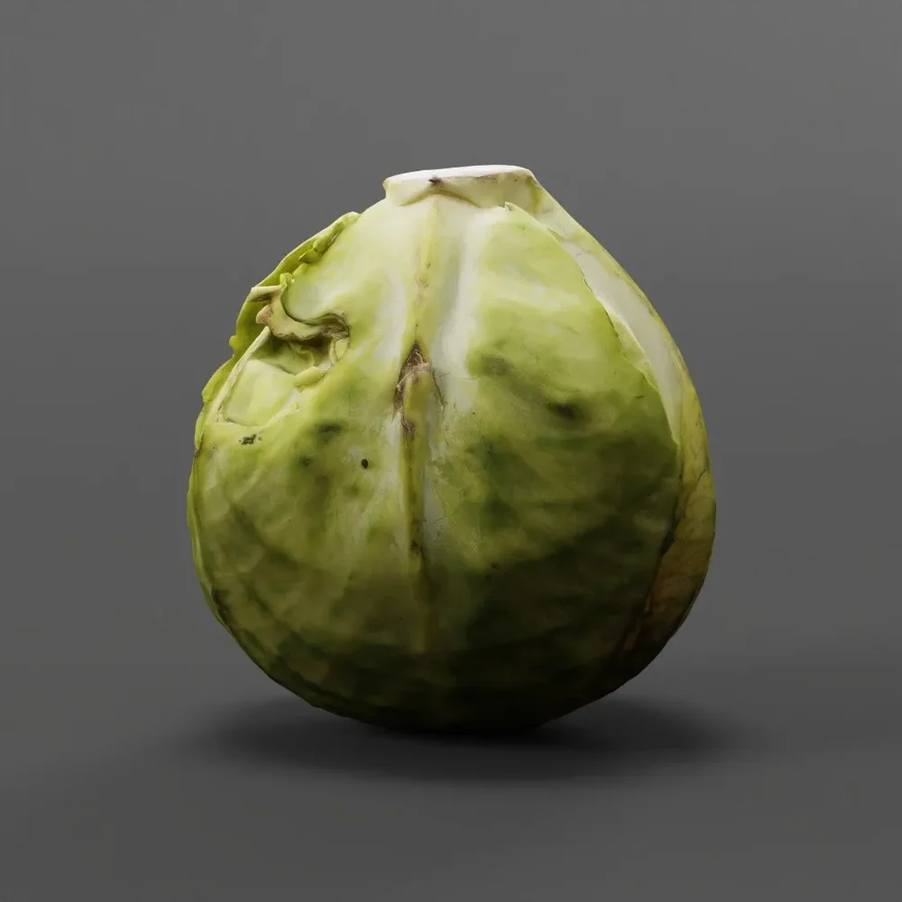 Cabbage scan 8c73ad0b-844e-4b3d-a64d-73ae963675b9