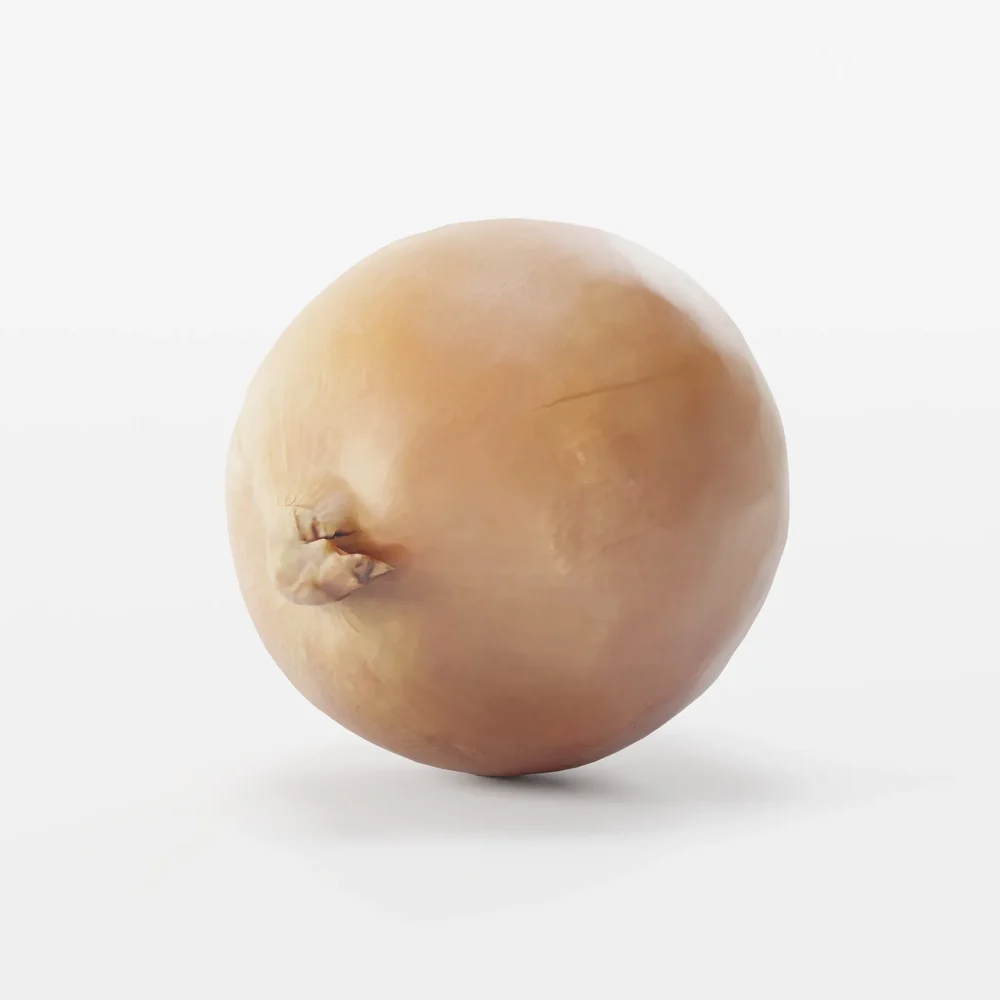 Scanned Onion