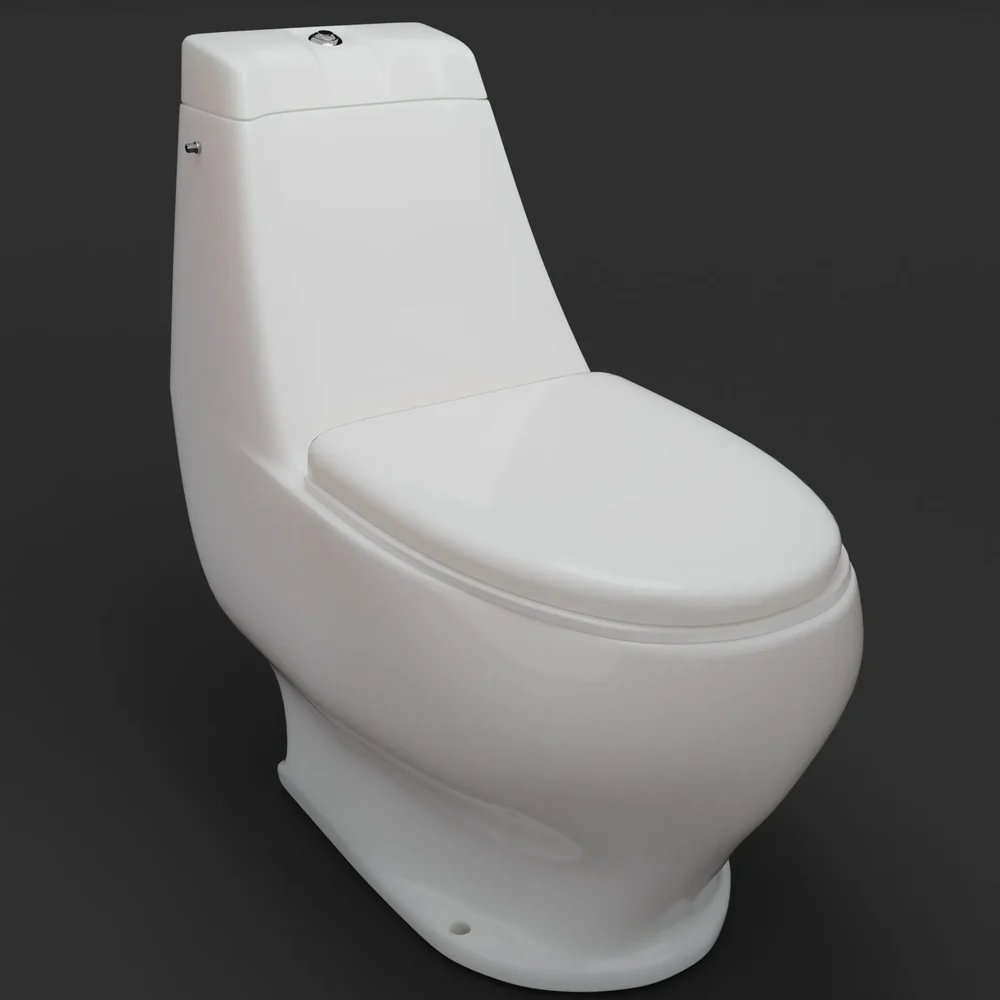 Toilet Bowl