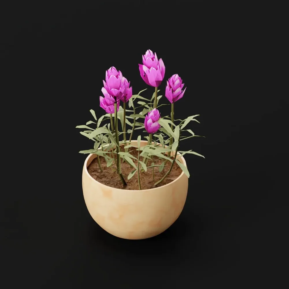 Plant Indian Lotus Pot Sml