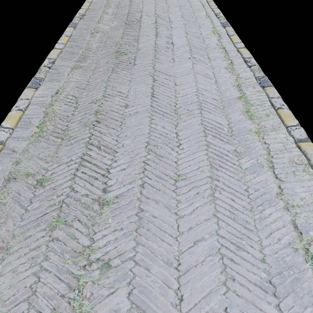 Walkway Scan