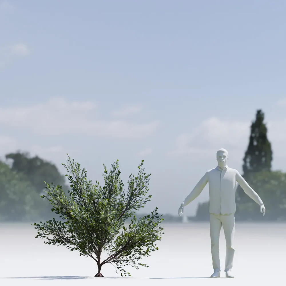 Bush Lowpoly Animated