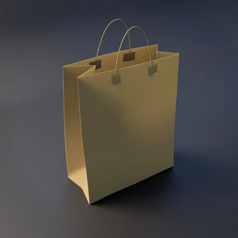 Paper Shopping Bag