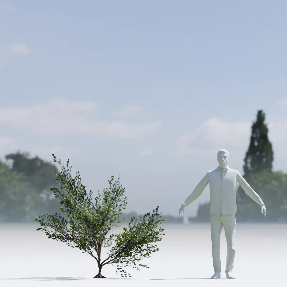 Bush Lowpoly Animated