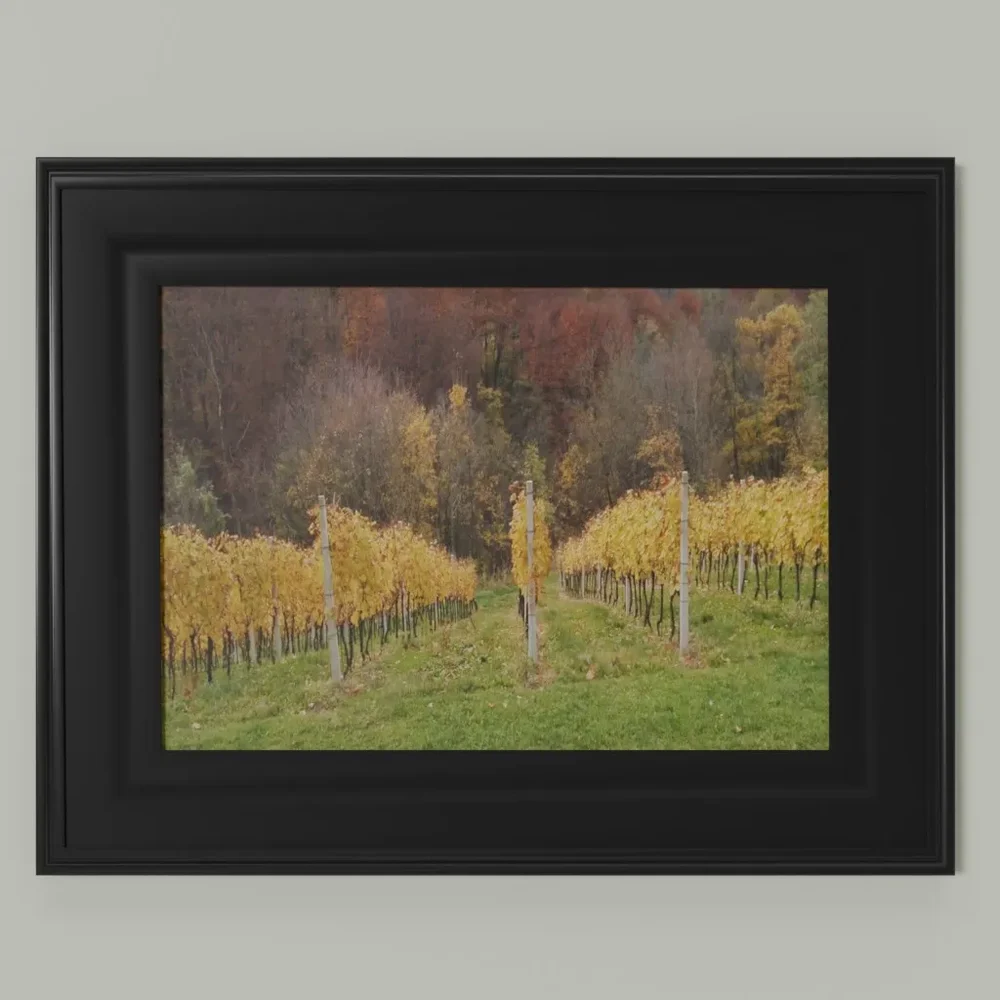 Autumn Picture