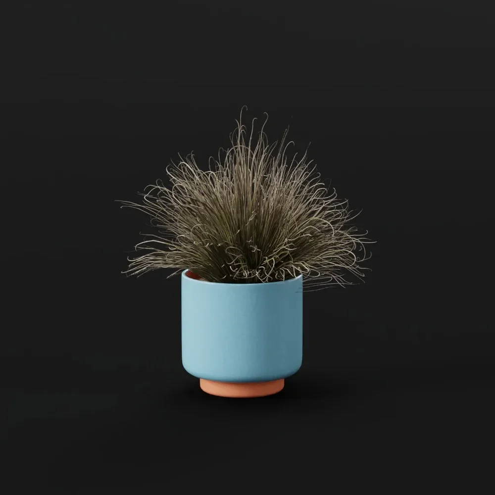Grass Foothill Lrg Pot