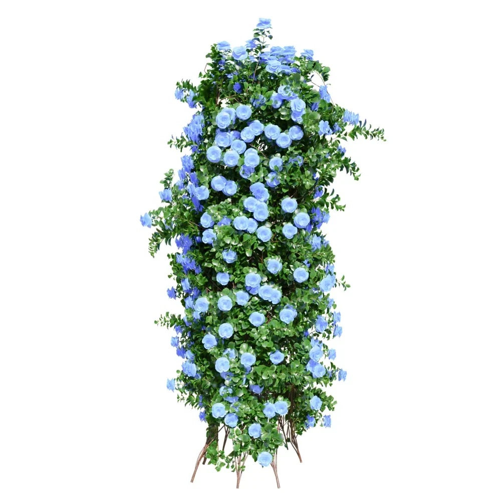Climbing Roses Blue