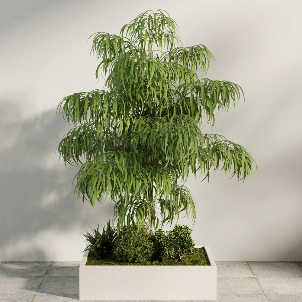 Outdoor Landscape Planter Tree