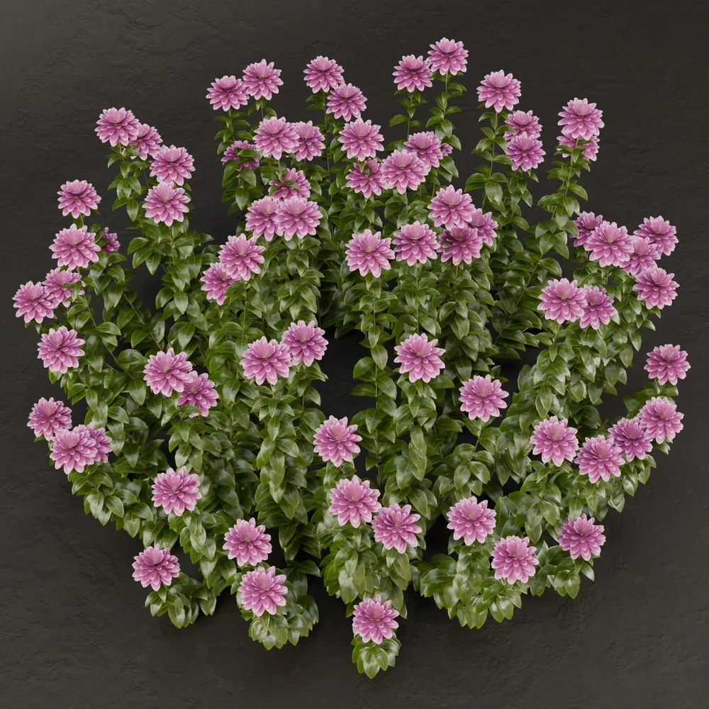Sj-Whimsical Flower Patch