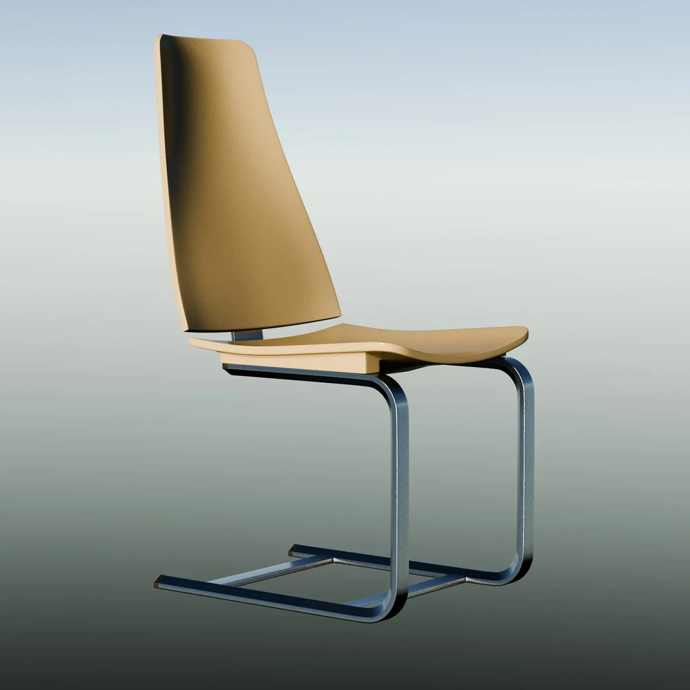 Anatomical Chair