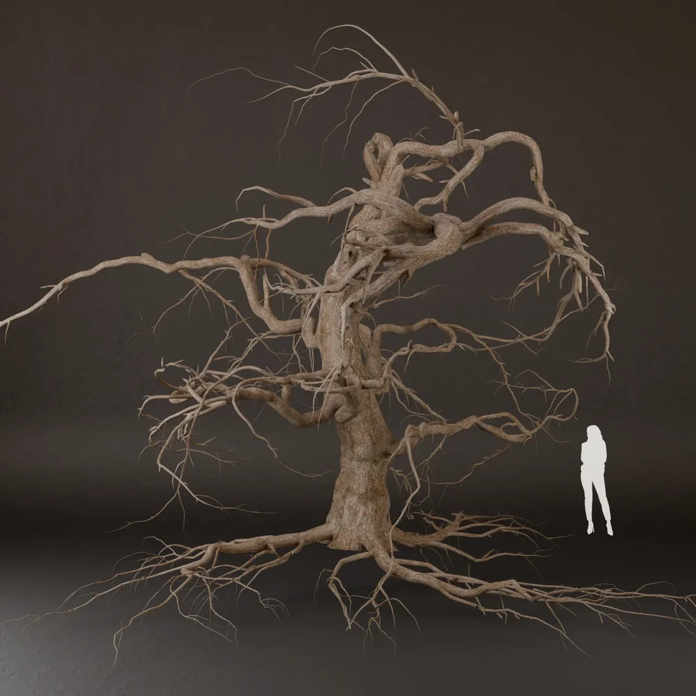 Sj-Ancient Dead Tree 3d