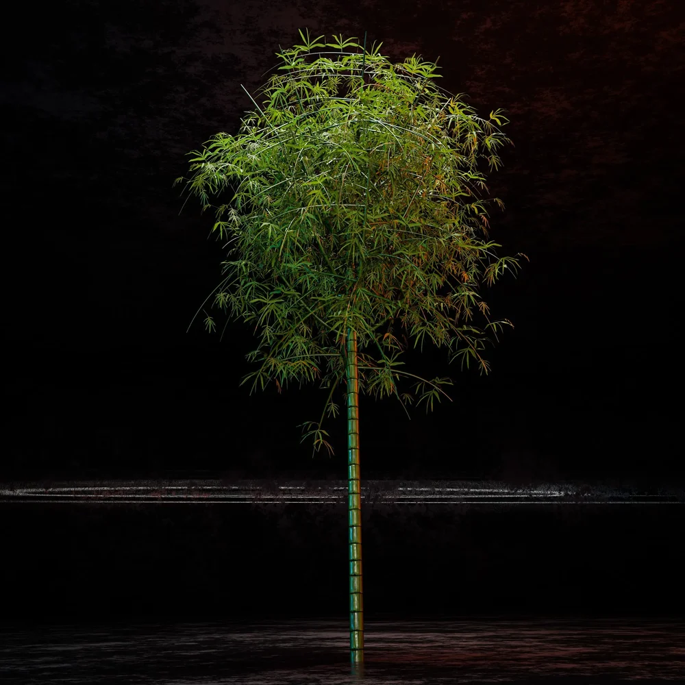 Bamboo Tree