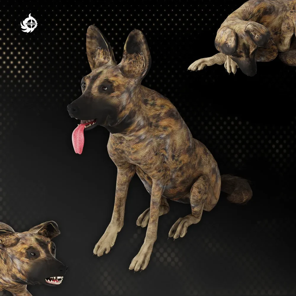 African Wild Dog (Rigged,Animated)