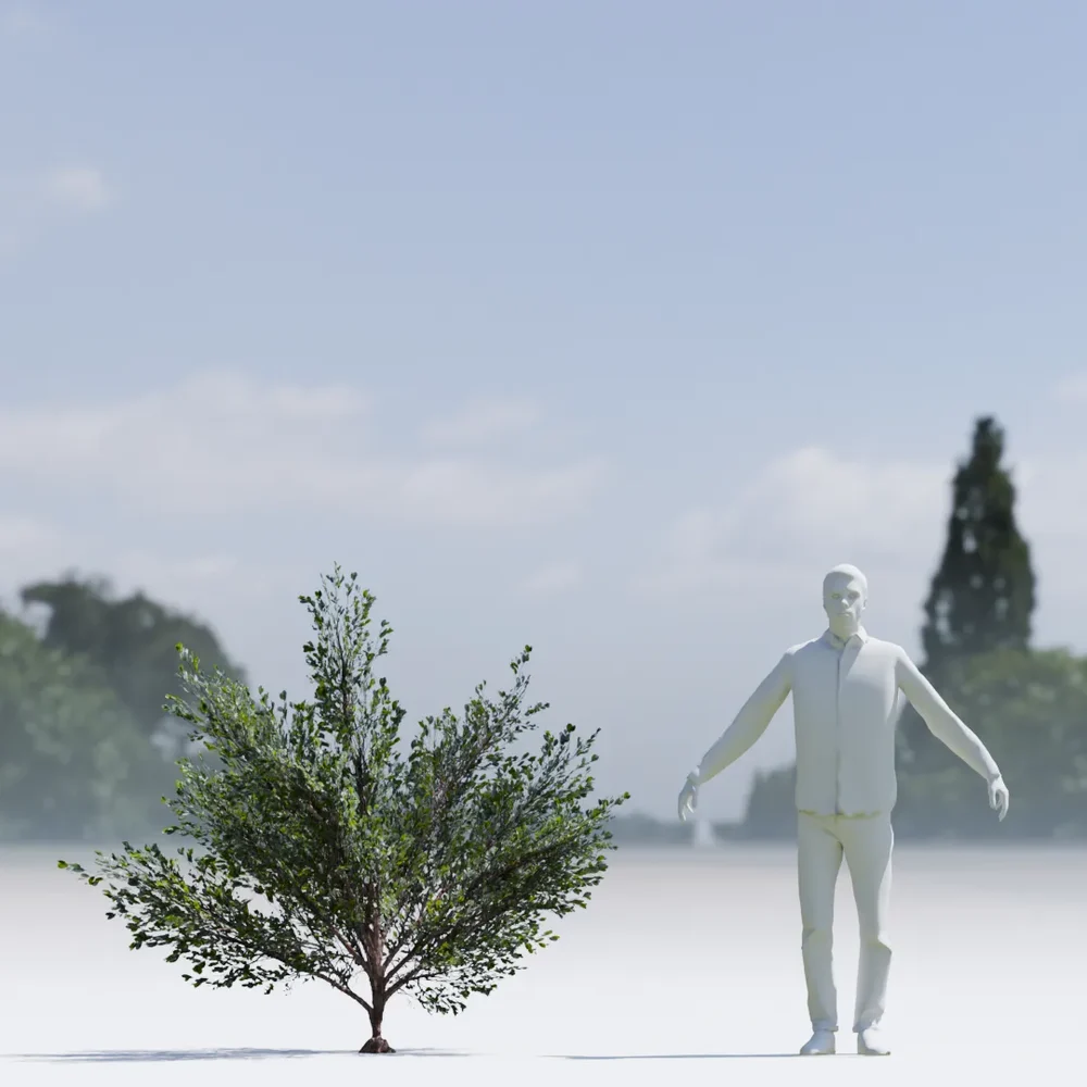 Bush Lowpoly Animated