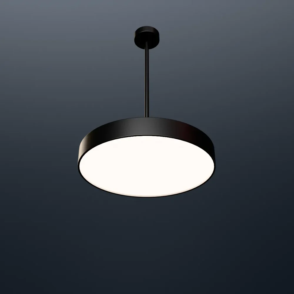 Ceiling Mounted Disc Light