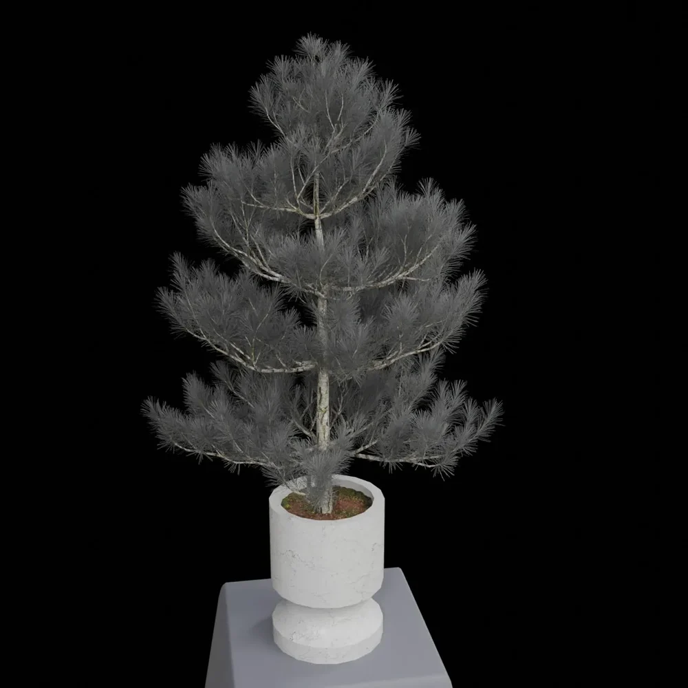 Ornamental Shrub