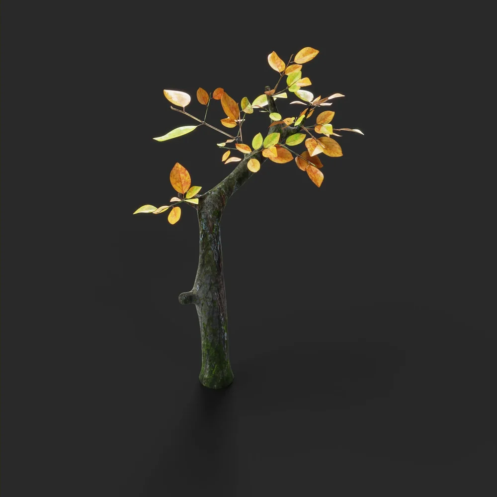 Bonsai Automn Tree Branch