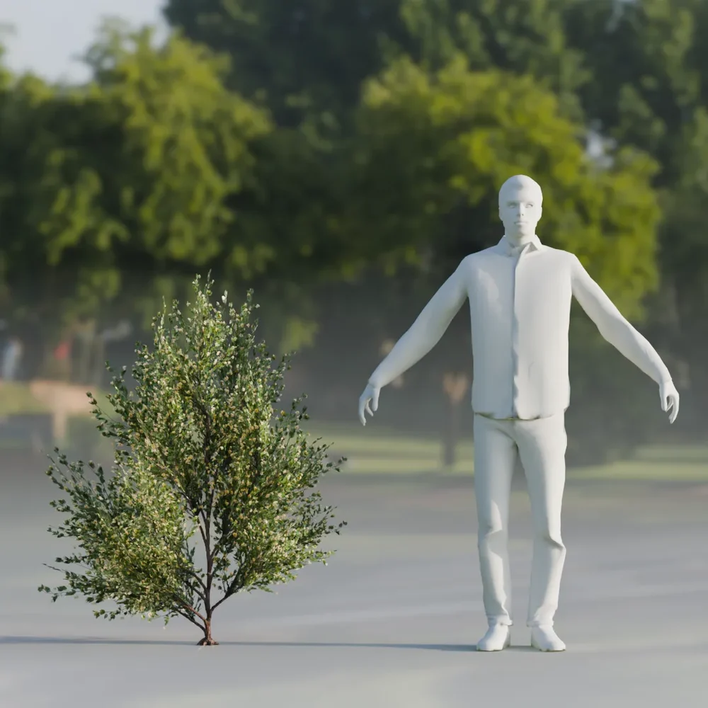 Shurb Flower Lowpoly Animated