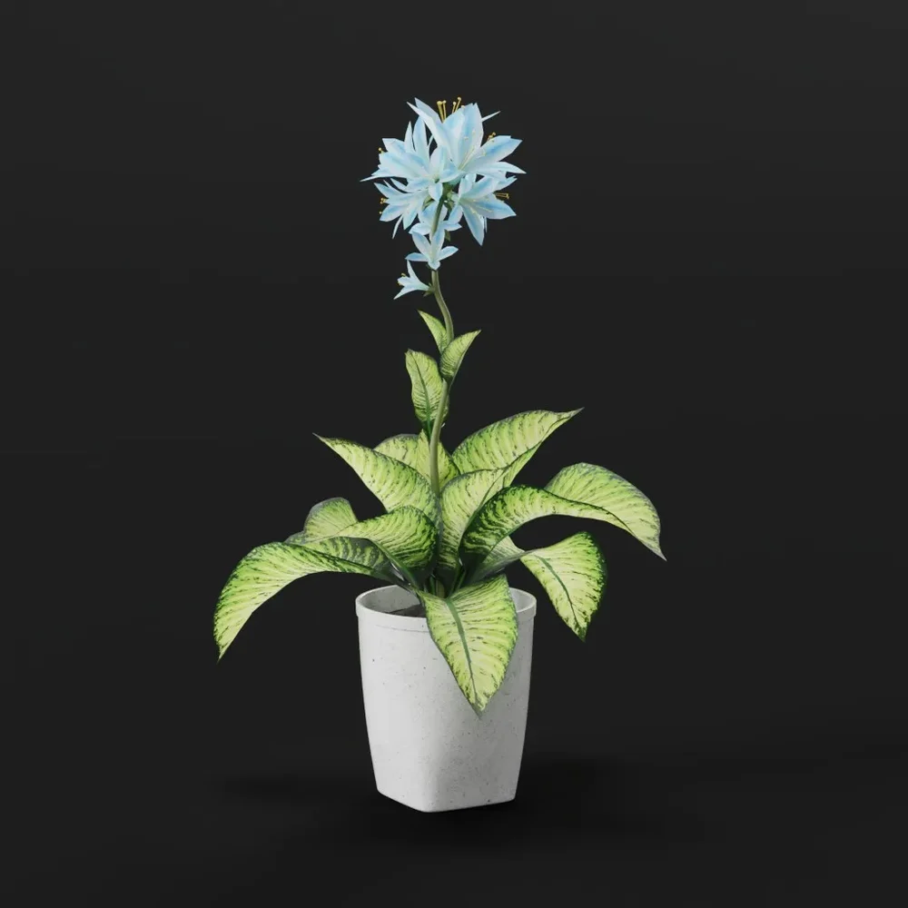 Blue Lily Potted Plant