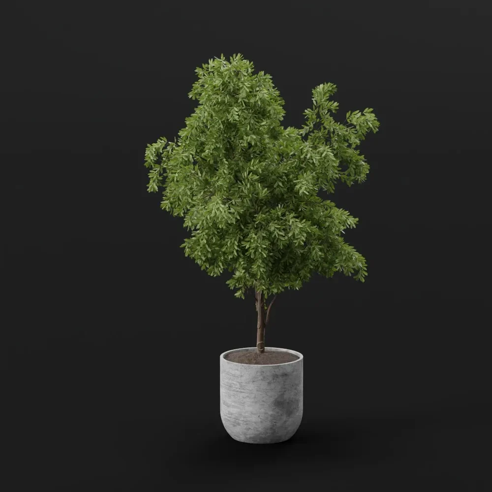 Decorative Indoor Tree Pot