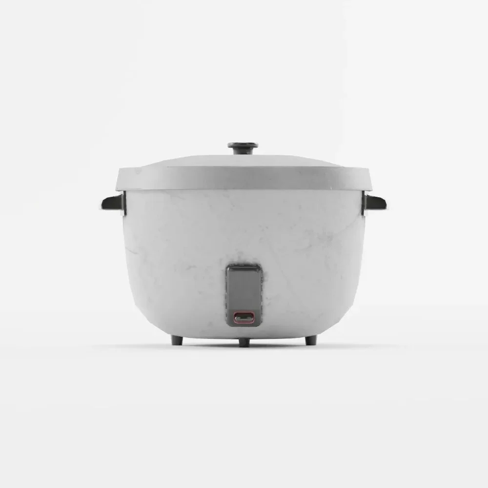 Old Ricecooker
