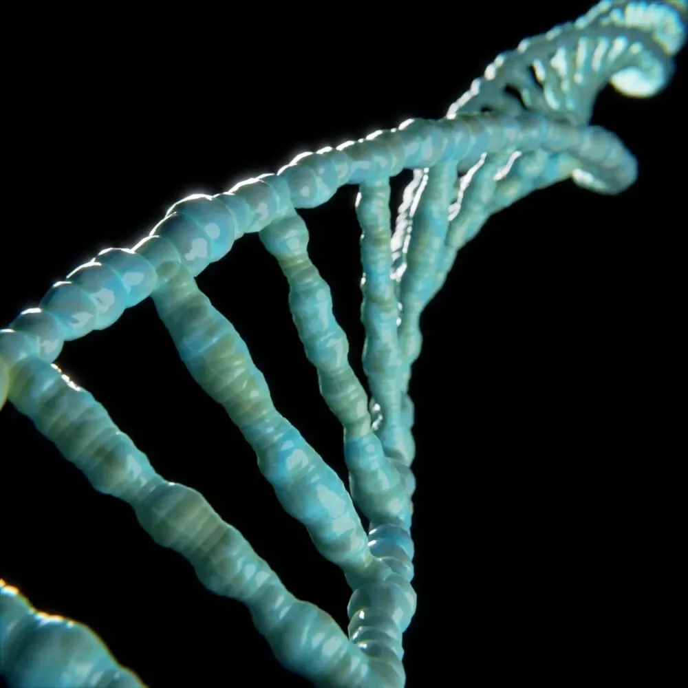 Double Helix