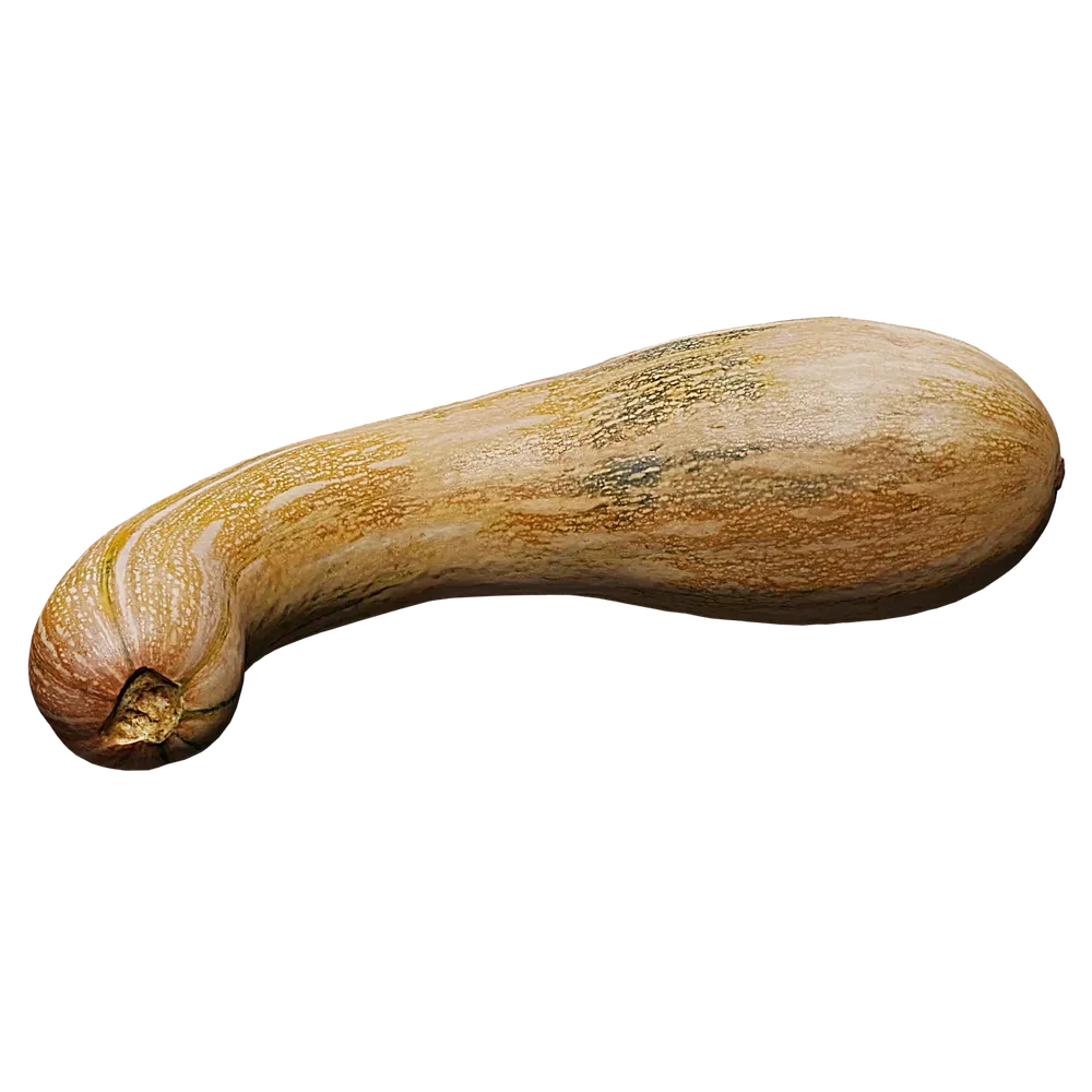 Scan Pumpkin2