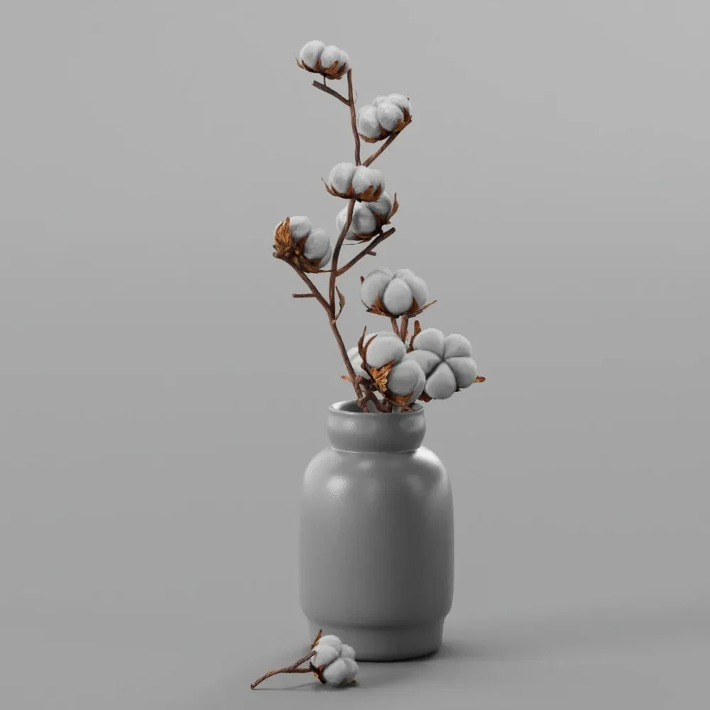 Vase With Cotton Flowers