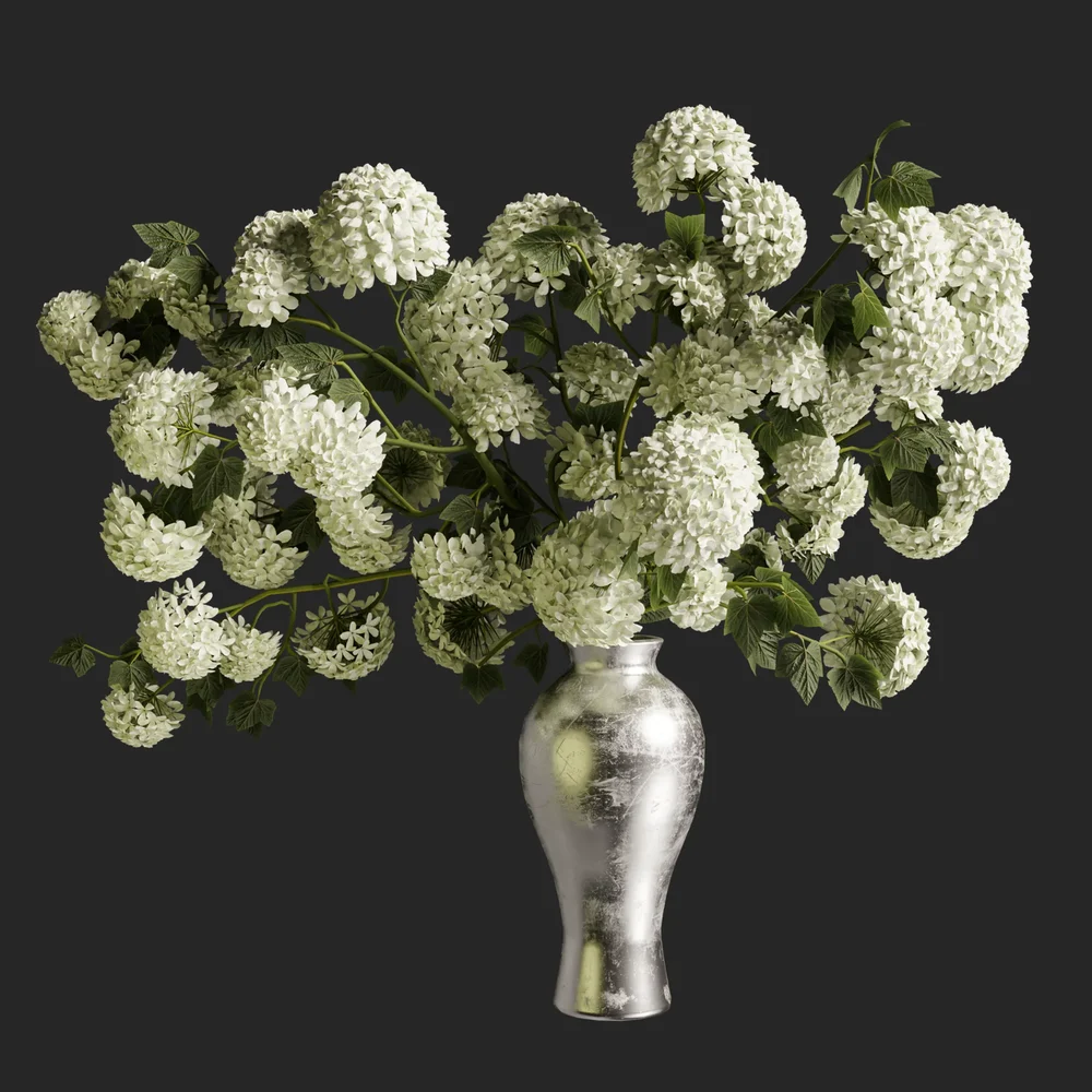 White Hydrangea