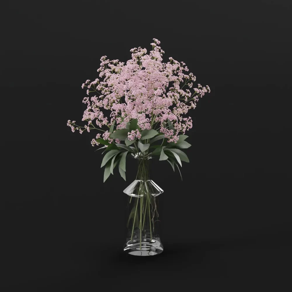 Pink Gypsophila