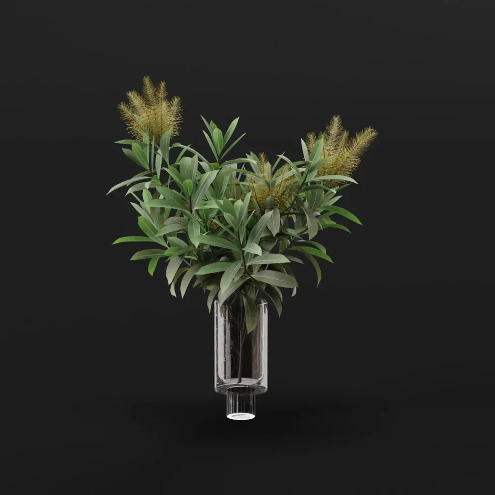 Plant